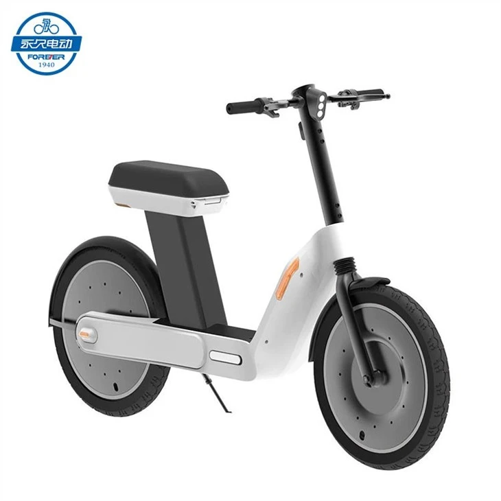 GLOOV-Adder-Super-Electric-Scooter-20-Inch-Large-Tires-1000W-Motor-25Km-h-Speed-48V-20Ah.jpg_Q90.jpg_-(2)